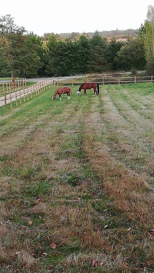 B&B Les Quatre Vents Montpon-Menesterol Zewnętrze zdjęcie